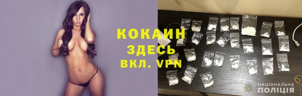 ешки Алексин