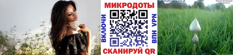 Псилоцибиновые грибы MAGIC MUSHROOMS  Волжский 