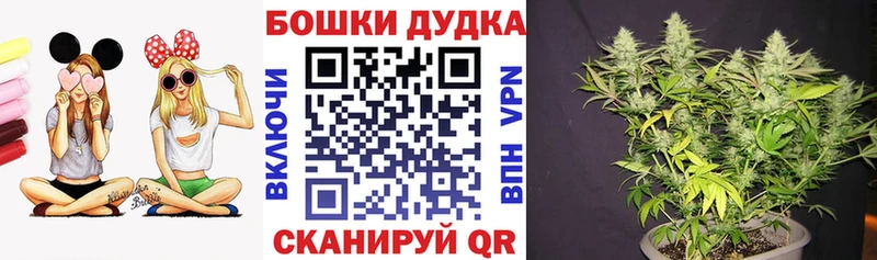 где найти   Волжский  Бошки марихуана конопля 